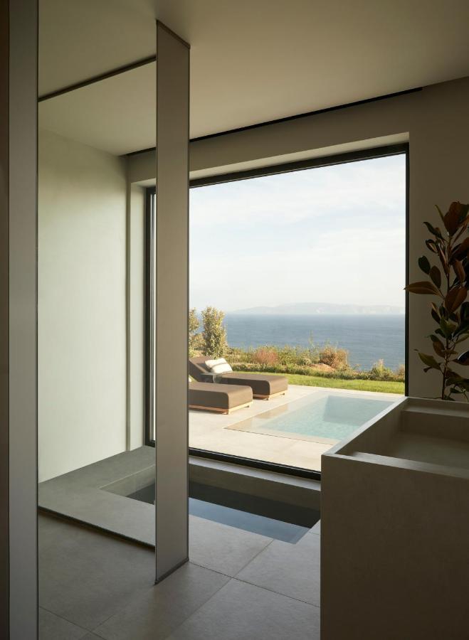Villa Dione Kefalonian Chic Villas Спартия Экстерьер фото